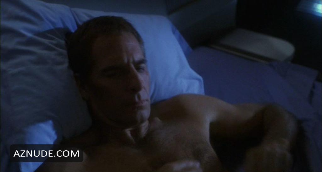 Scott Bakula Nude And Sexy Photo Collection Aznude Men